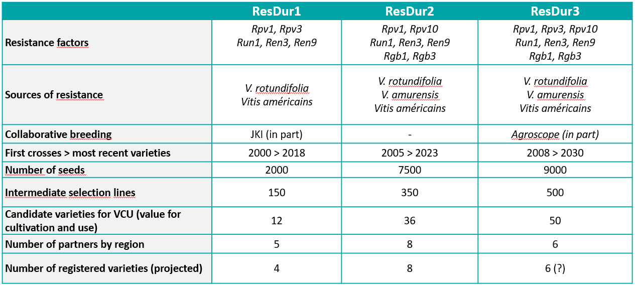 Tableau bilan resdur