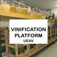 Vinification platform
