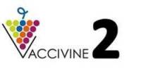 Logo Vaccivine2