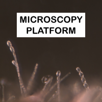 Microscopy platform